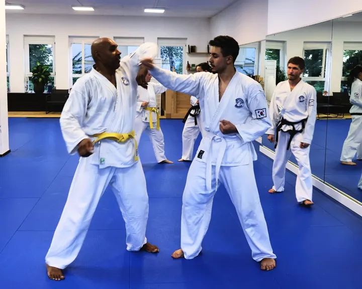 Taekwon-Do Center Heidelberg — kampfsport-studio in Heidelberg — 3