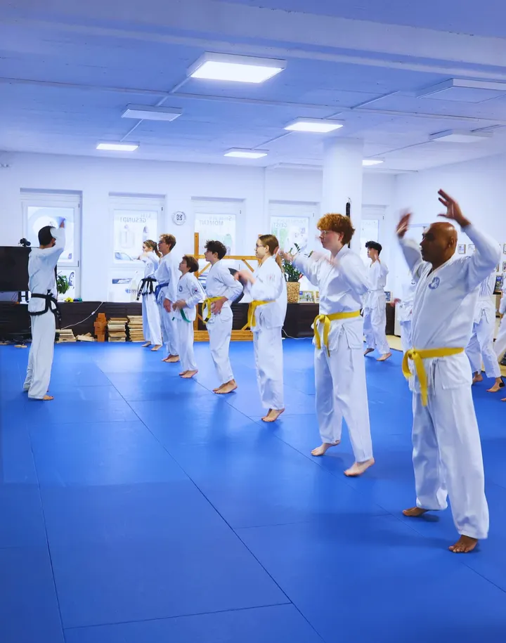 Taekwon-Do Center Heidelberg — Kampfsport in Handschuhsheim, Heidelberg