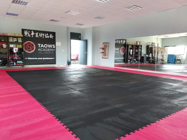 The Kungfu Club By Taows Albolote Granada — artes marciales-studio en Albolote — 2