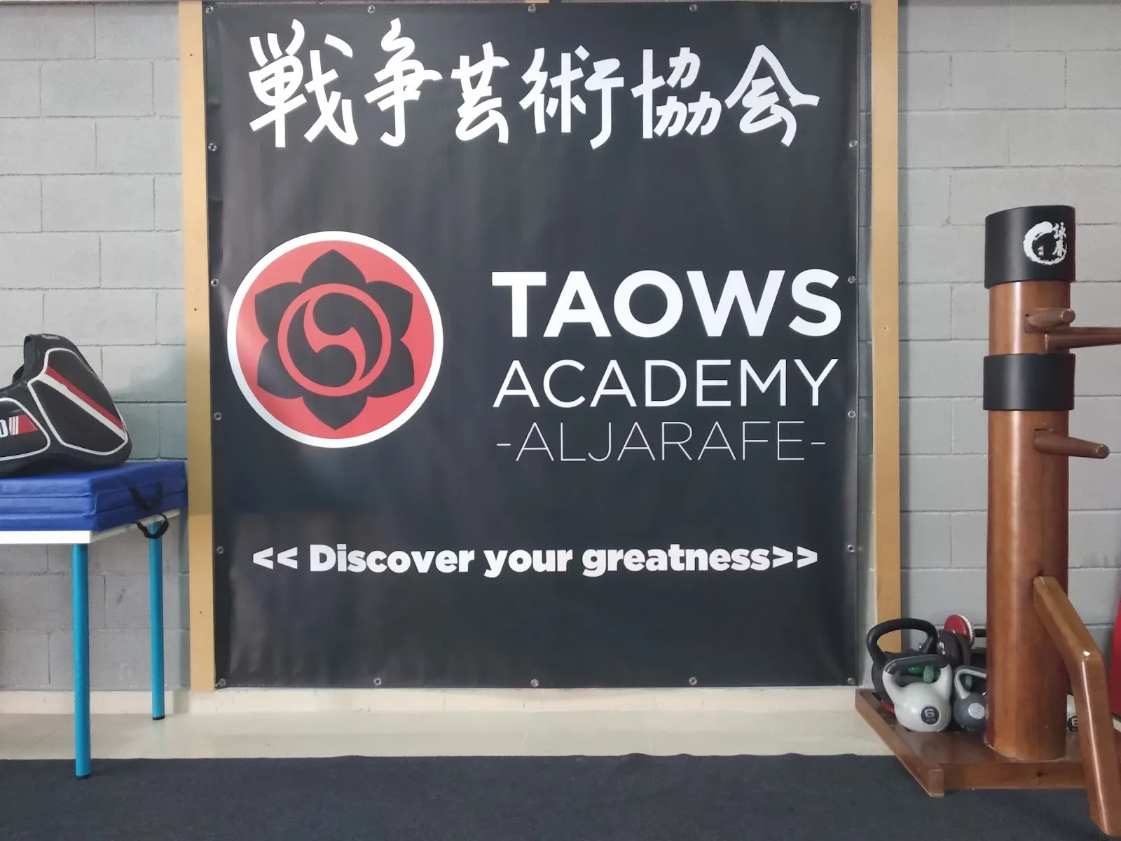 The Kungfu Club By Taows Albolote Granada — artes marciales-studio en Albolote — 3