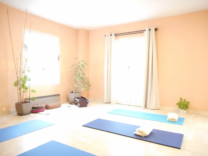 École de Yoga Traditionnel de l'Inde (Angers) — yoga-studio à Justices - Madeleine - Saint-Léonard, Angers — 2