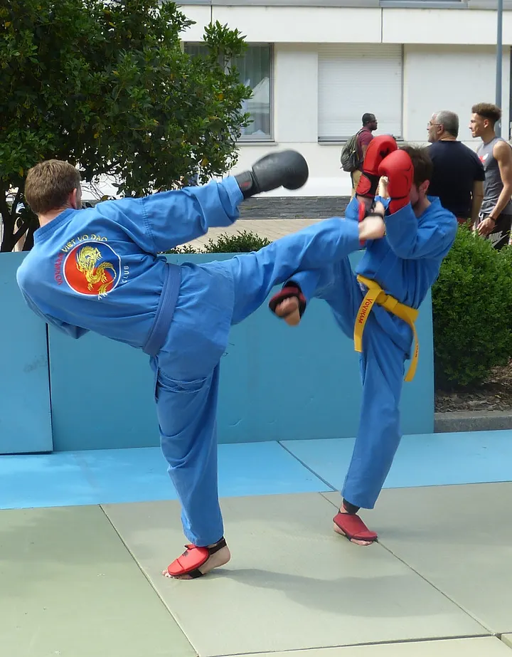 VDST France - Vovinam Việt Võ Đạo — arts martiaux-studio à Paris 20e Arrondissement, Paris — 3