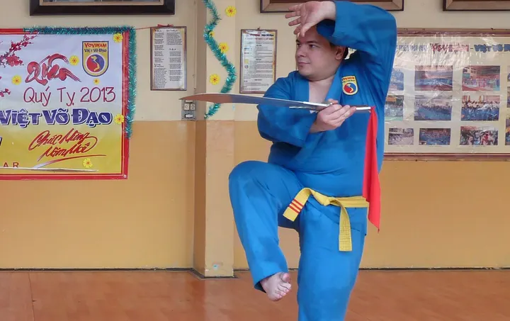 VDST France - Vovinam Việt Võ Đạo — Arts martiaux à Paris 20e Arrondissement, Paris