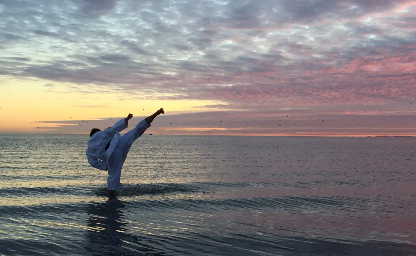 SEISHINKAN BUDŌ SCHOOL - Älvsjö Karate & Kobudō — kampsport-studio i Stockholm — bild 2