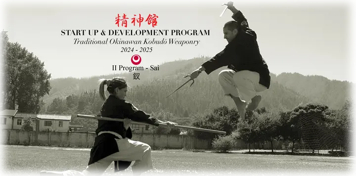 SEISHINKAN BUDŌ SCHOOL Älvsjö Kobudō — martial arts-studio in Stockholm — 3