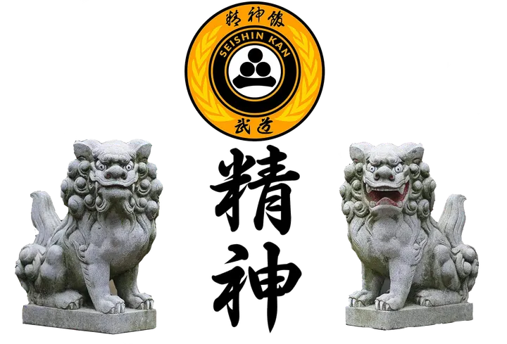 SEISHINKAN BUDŌ SCHOOL Älvsjö Kobudō — martial arts-studio in Stockholm — 5