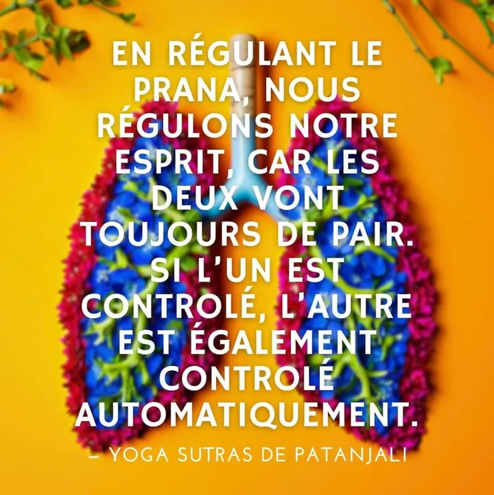 Yda Yoga — yoga-studio à Cyprian, Villeurbanne — 3
