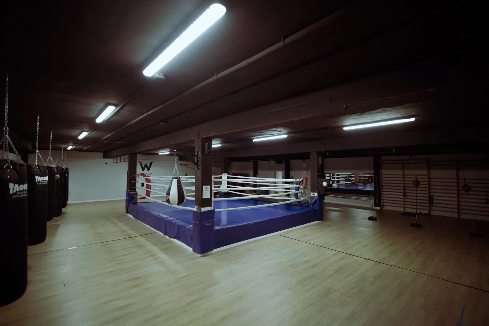 Werdum Training Center — mma-studio en Las Palmas de Gran Canaria — 4