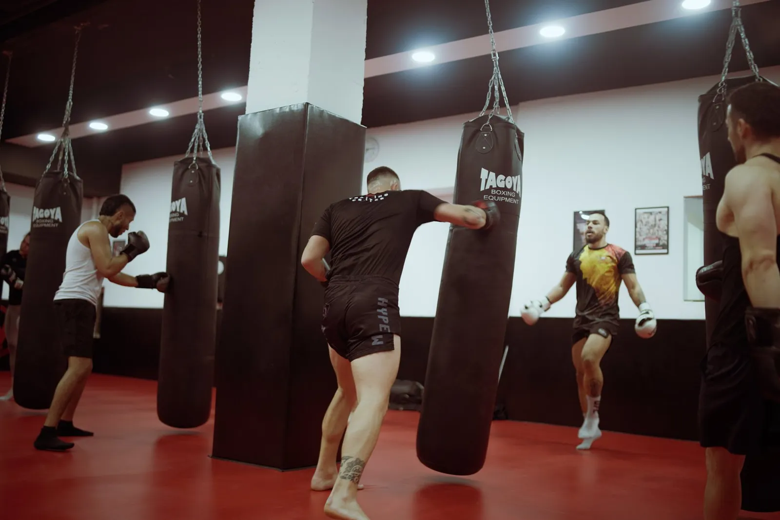 Werdum Training Center — mma-studio en Las Palmas de Gran Canaria — 5