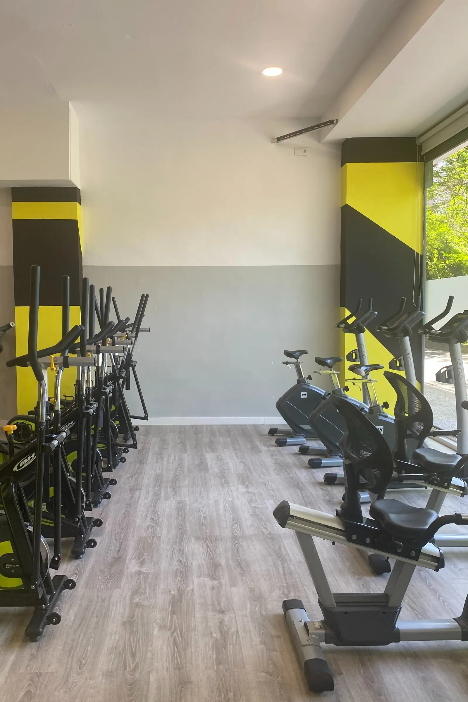 Werdum Training Center — mma-studio en Las Palmas de Gran Canaria — 6