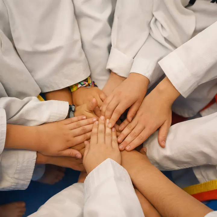 Escuela de Artes Marciales Forma más Salud — martial arts-studio i Pino Montano, Sevilla