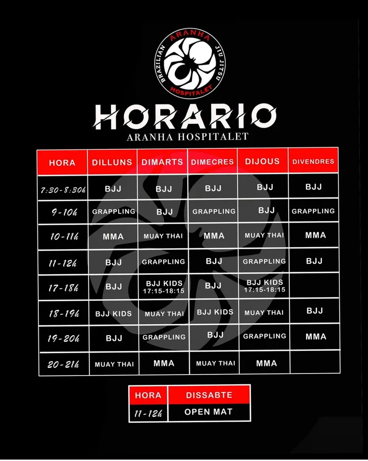 Aranha Hospitalet I Jiu Jitsu, MMA y Muay Thai — artes marciales-studio en Sants-Montjuïc, Barcelona — 2