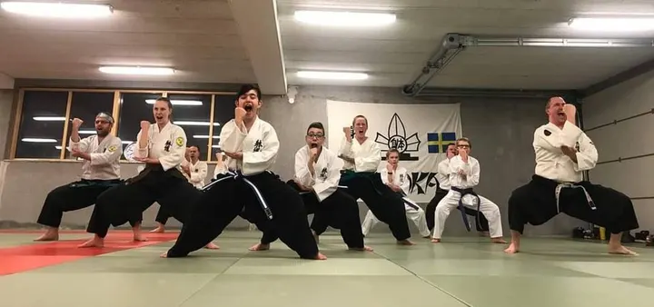 Taidokan Dojo — Kampsport i Munkeröd, Stenungsund