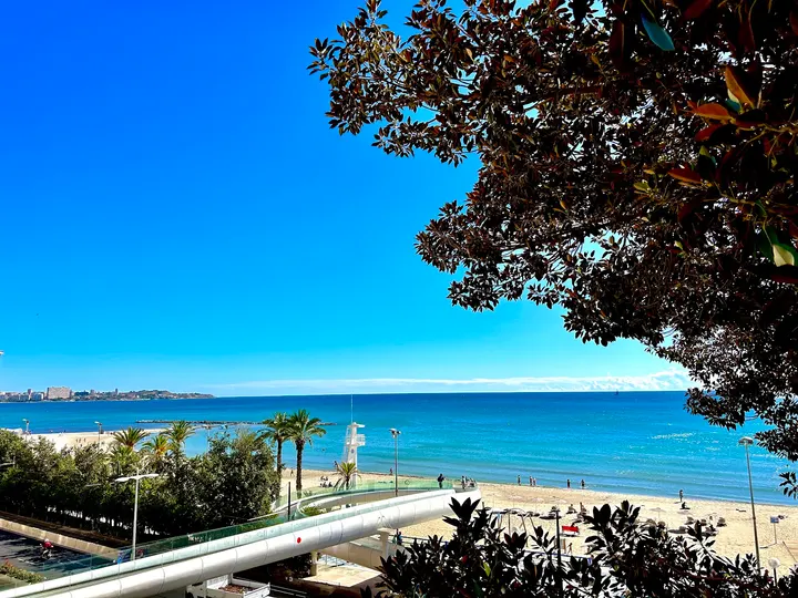 Parque de Calistenia del Postiguet — entrenamiento funcional-studio en Alicante — 3