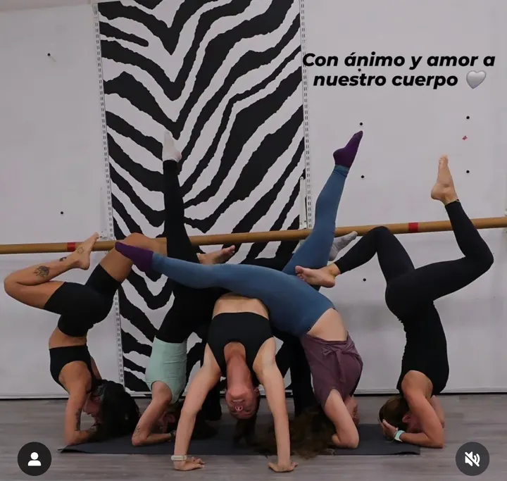 Damova Pole Dance — estudio de fitness-studio en Elche — 5