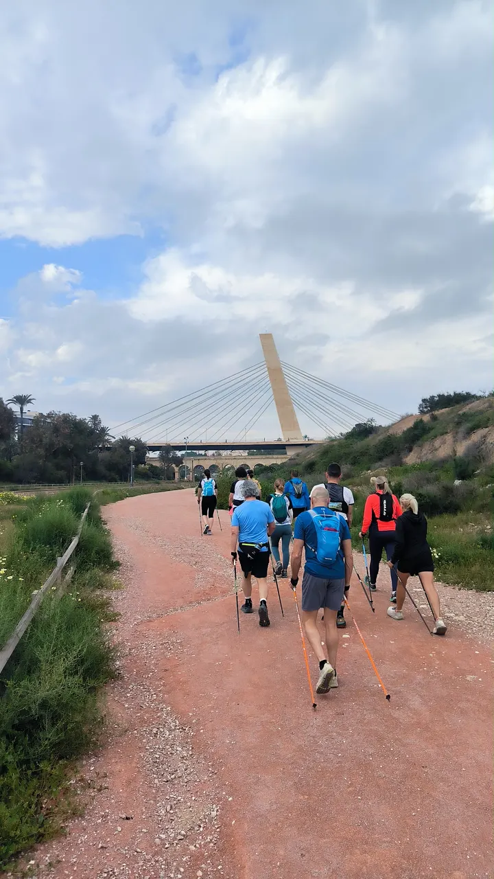 Costa Blanca Nordic Walking — entrenamiento funcional-studio en Elche — 3