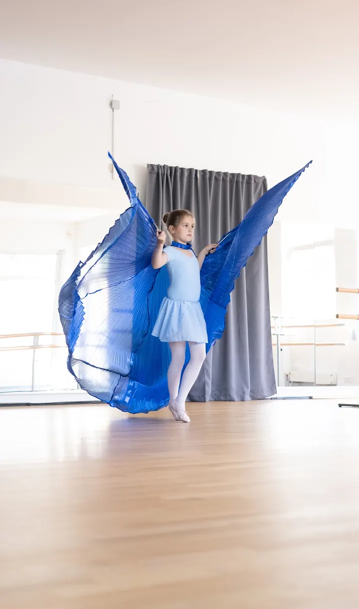 Ballettschule — tanz-studio in Würzburg — 4
