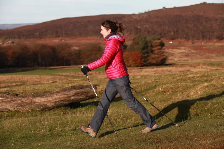 Wild Horizen Pregnancy — yoga-studio in Greenhill, Sheffield — 3