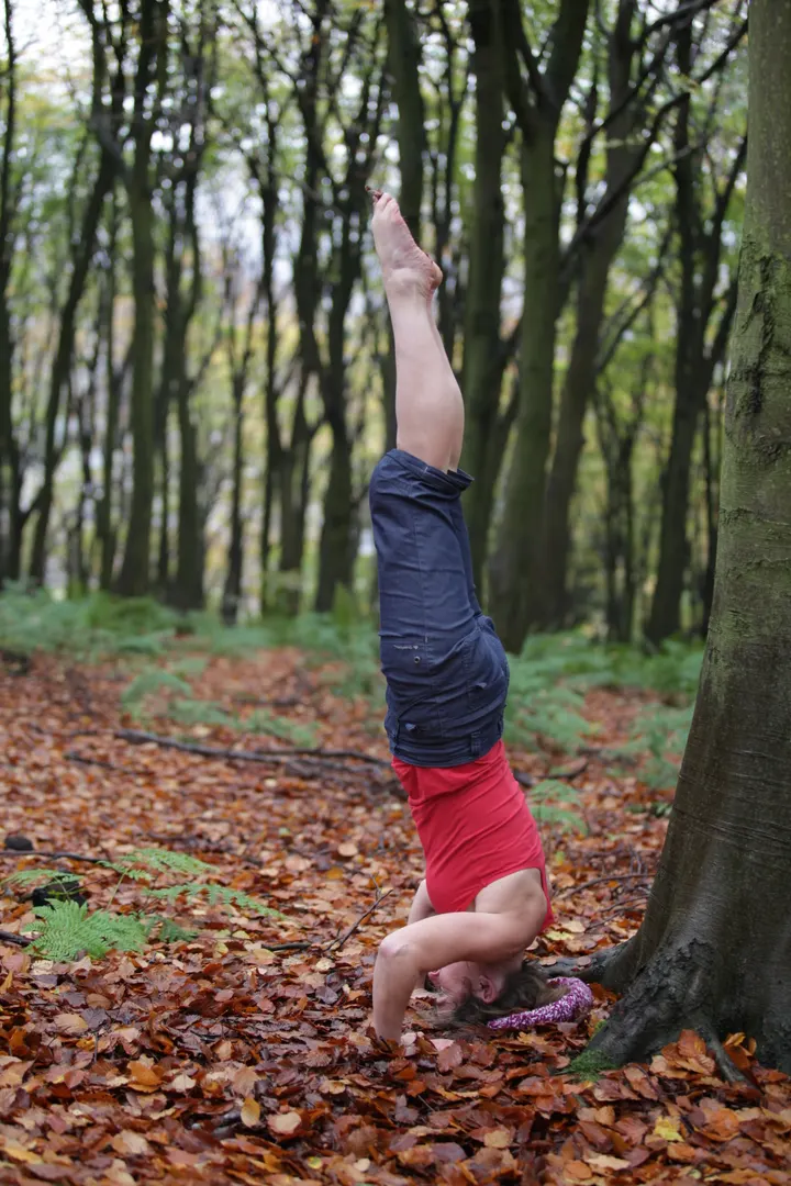 Wild Horizen Pregnancy — yoga-studio in Sheffield — 3