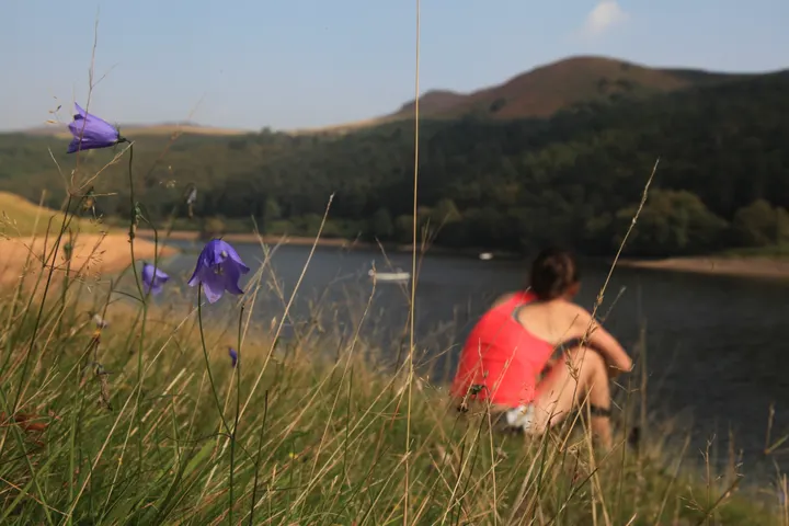 Wild Horizen Pregnancy — Wellness in Greenhill, Sheffield