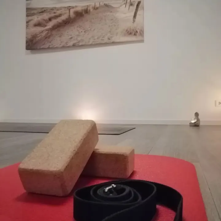 Lakshmi Yoga — yoga-studio in Wannweil — 5