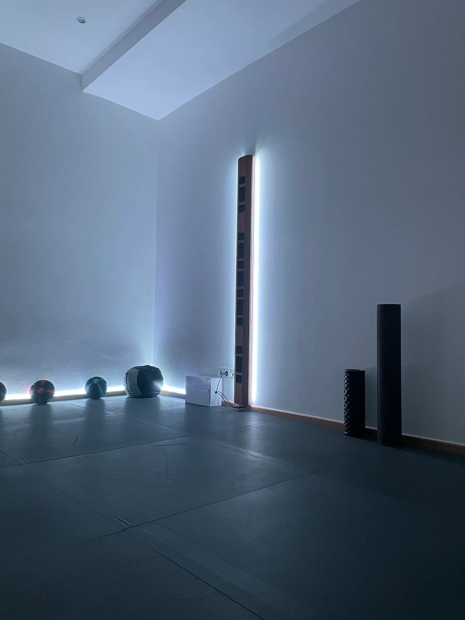 Ushine — functional training-studio in München — 5