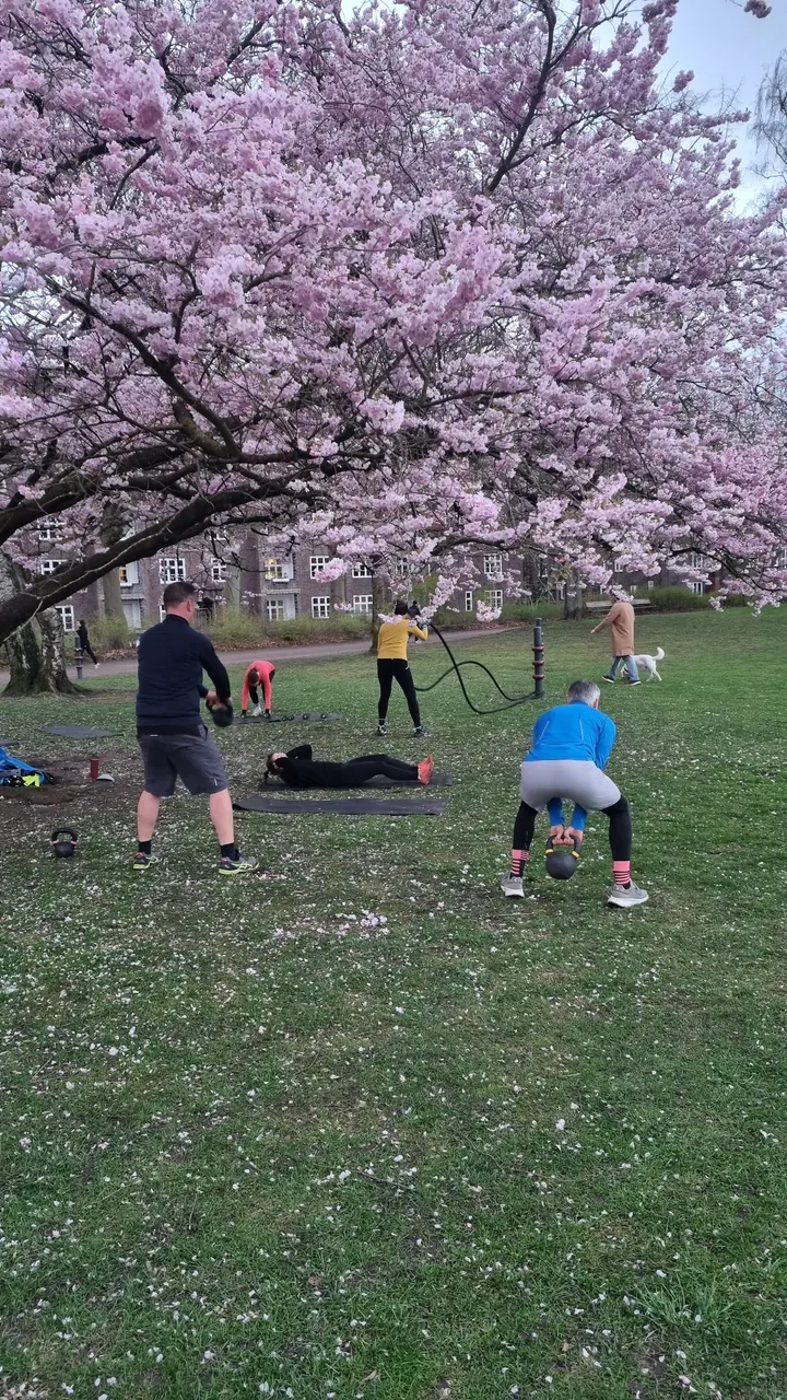 Original Bootcamp - Outdoor Fitness | Eppendorfer Park | Hamburg — functional training-studio in Eppendorf, Hamburg — 3