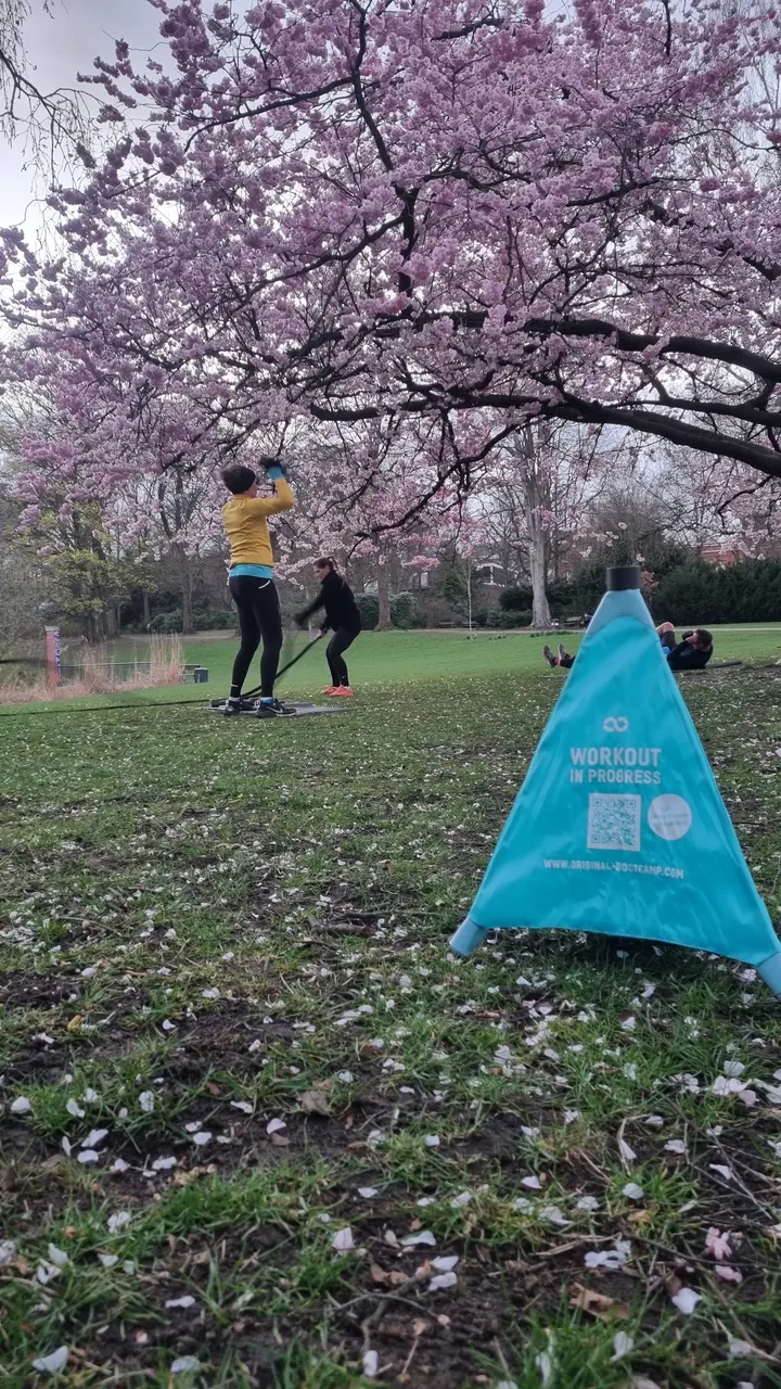 Original Bootcamp - Outdoor Fitness | Eppendorfer Park | Hamburg — functional training-studio in Hamburg — 3