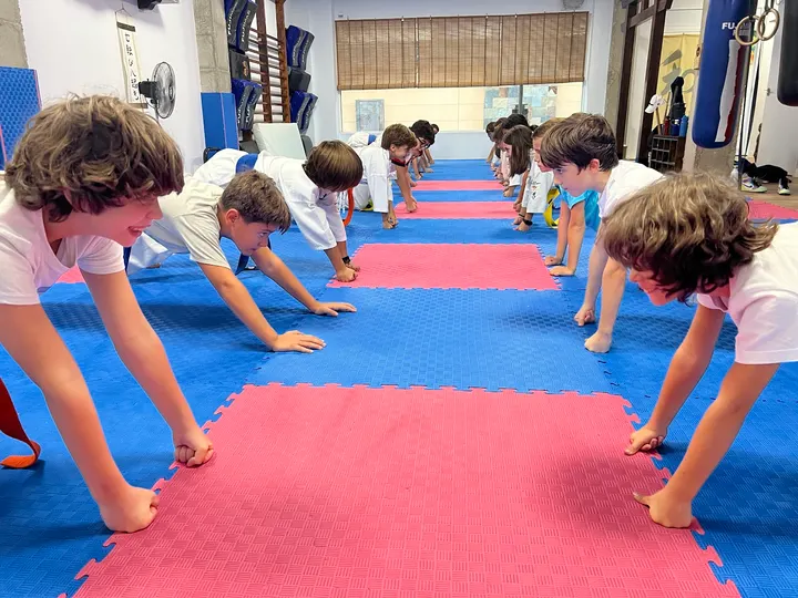 Dojo Cristian Molina — artes marciales-studio en Vista Alegre, Murcia — 2