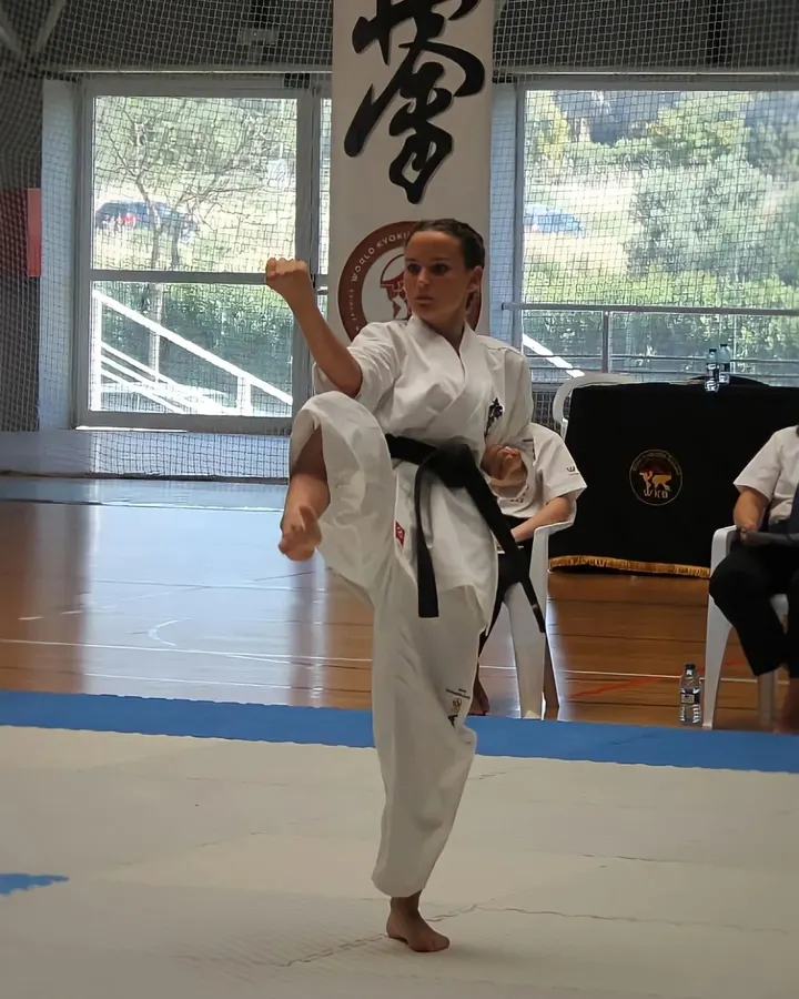 Dojo Cristian Molina — artes marciales-studio en Murcia — 4