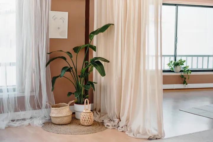 Green Nest Studio — Yoga em Sintra - Santa Maria, Sintra