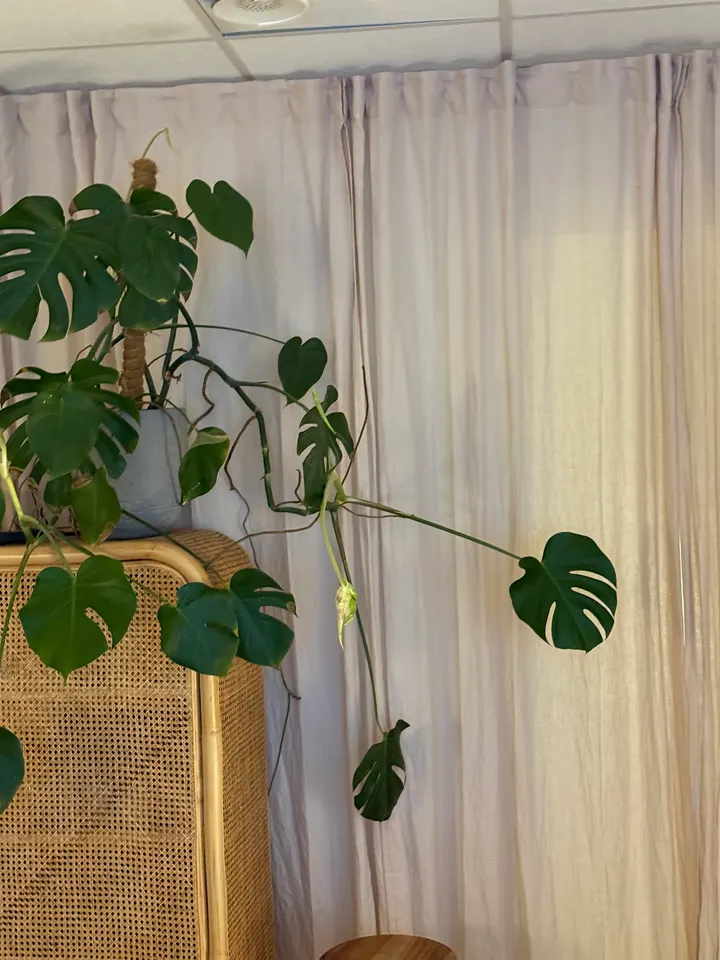 Philosophy body & soul — meditation-studio in Stockholm — 3