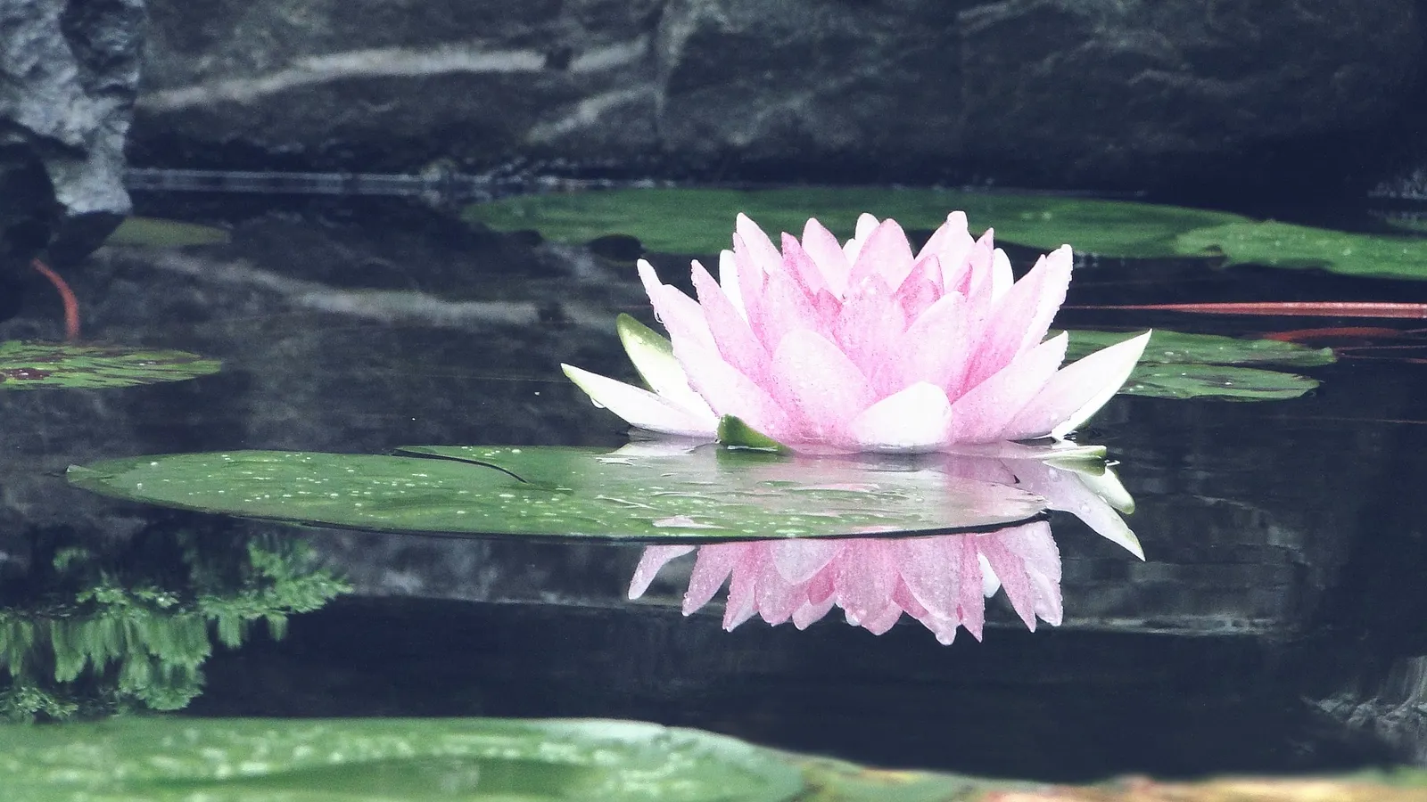 Isabell Lang I MBSR — meditation-studio in Mannheim — 3