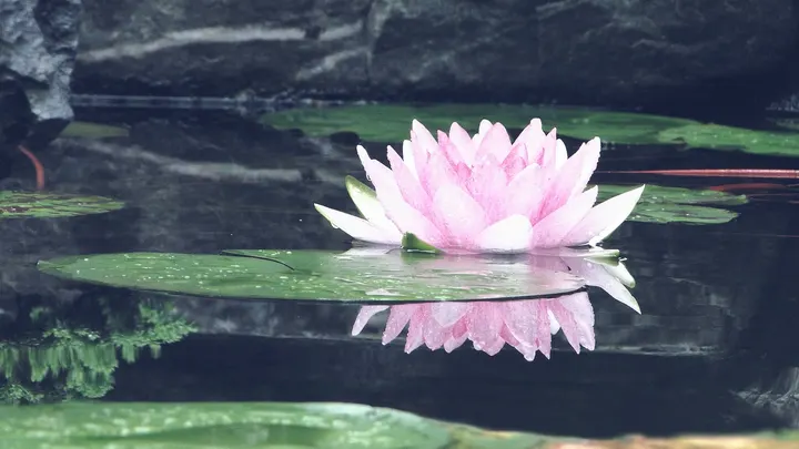 Isabell Lang I MBSR — meditation-studio in Mannheim — 3