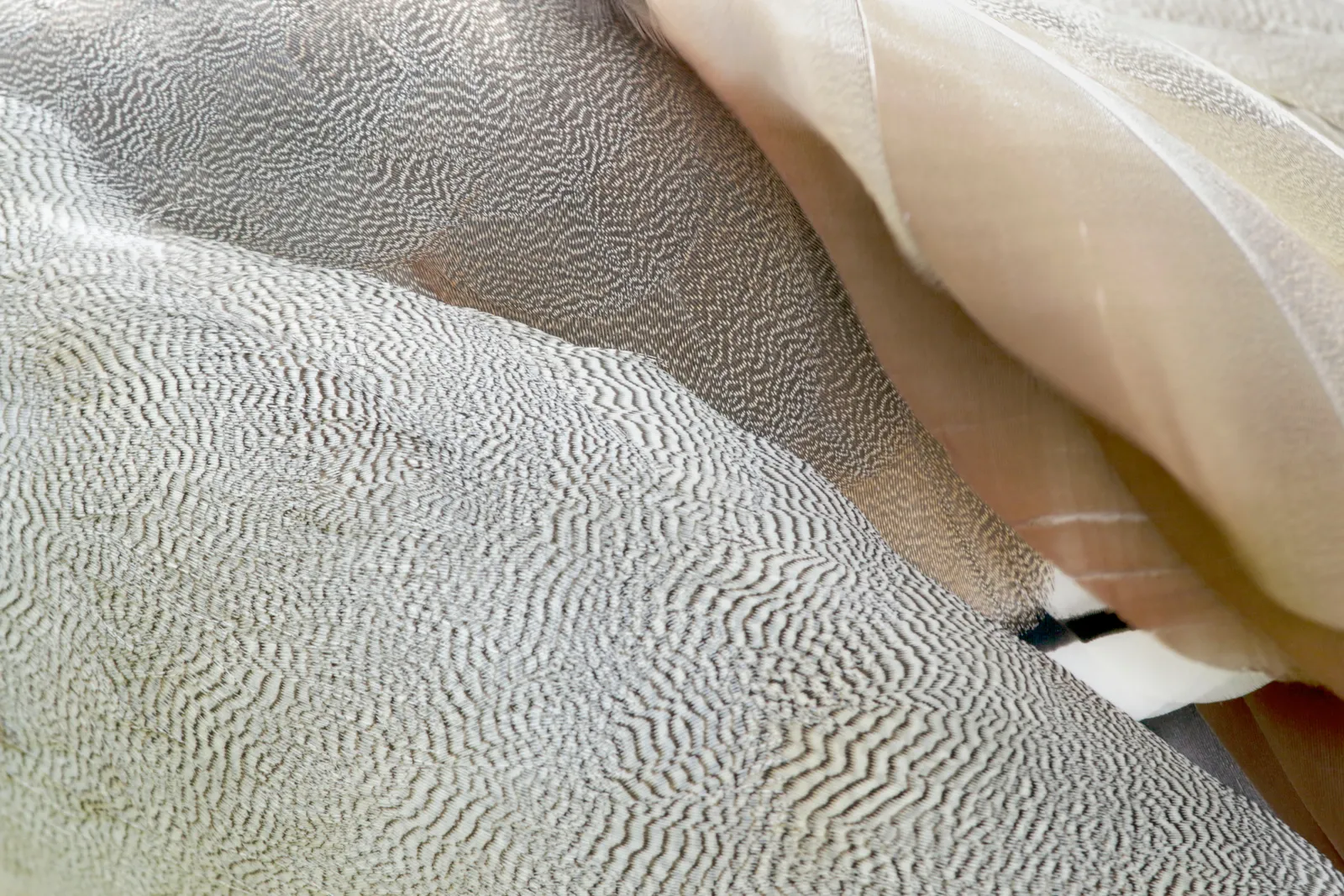 Isabell Lang I MBSR — meditation-studio in Mannheim — 4
