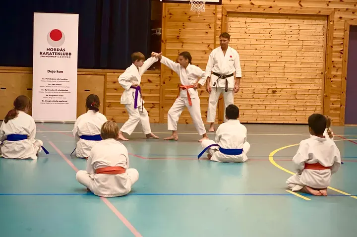 Nordås Karateklubb — kampsport-studio i Fana, Bergen — 2
