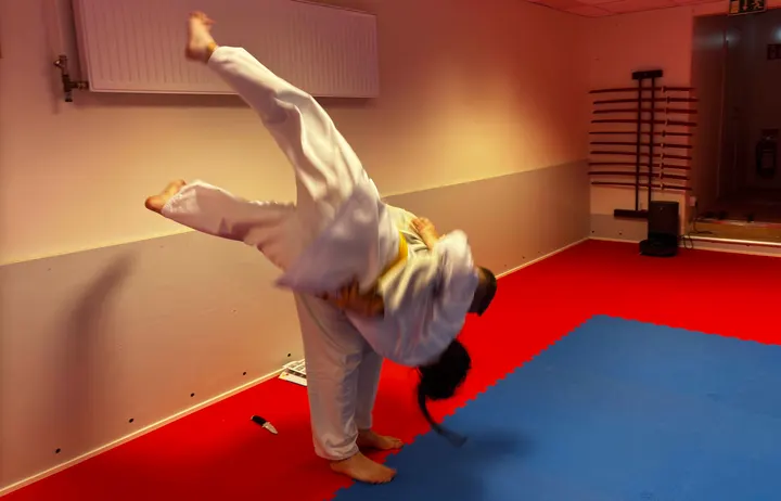Upplands-Bro Budoklubb — kampsport-studio i Öråker, Kungsängen — 3
