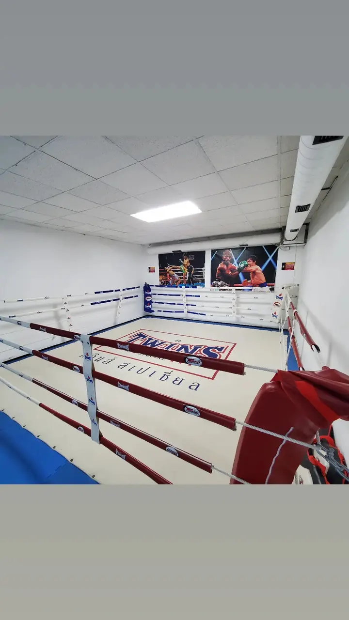 Palma City Boxing — artes marciales-studio en Palma — 5