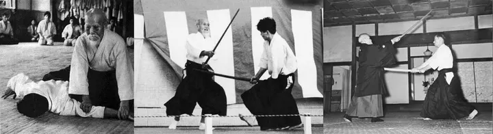Aikido Keihatsu Koog-Zaandijk — Vechtsport in Westerkoog, Koog aan de Zaan