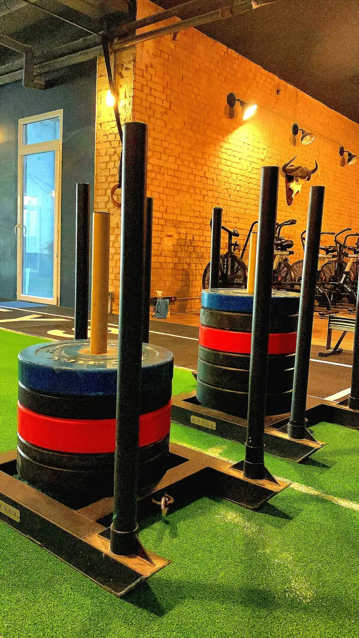 We Are Monkeys — entrenamiento funcional-studio en Salamanca, Madrid — 3