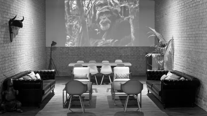 We Are Monkeys — entrenamiento funcional-studio en Madrid — 3