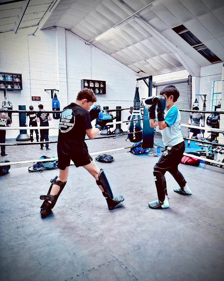United Krav Maga Force - Harpenden — Martial Arts in Batford, St Albans