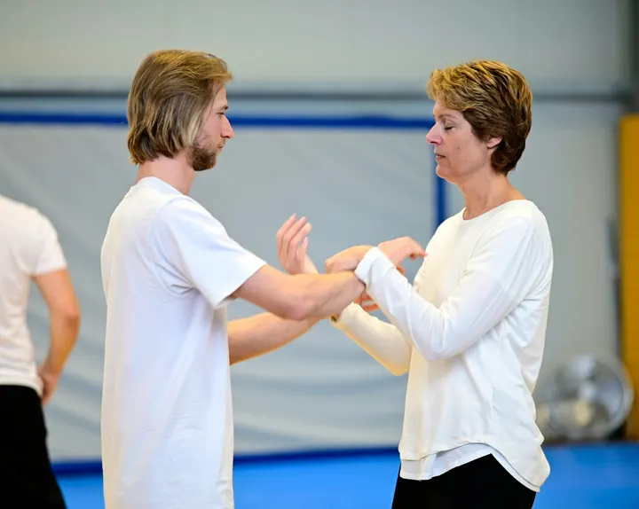 WING CHUN-ACADEMY HEIDELBERG — kampfsport-studio in Birkighöfe, Heidelberg — 3