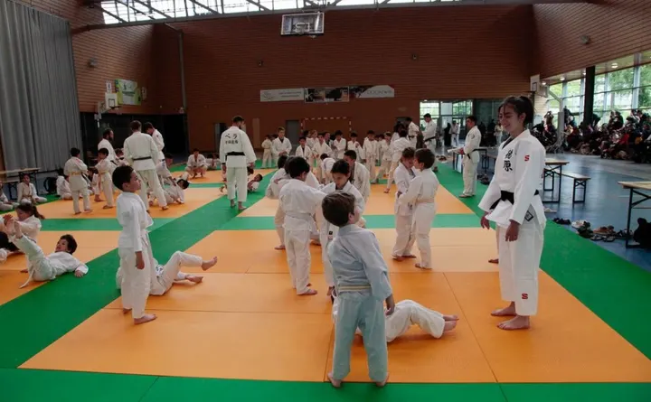 Judo Club Dijonnais — arts martiaux-studio aux Grésilles, Dijon — 2