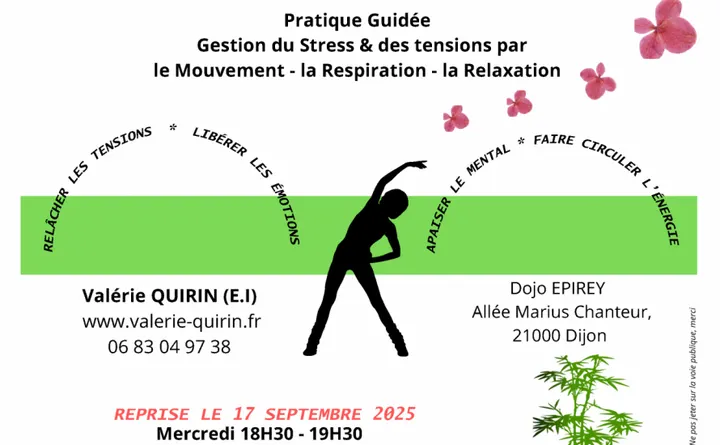 Judo Club Dijonnais — arts martiaux-studio aux Grésilles, Dijon — 3