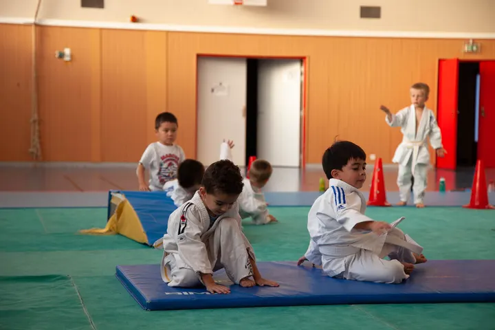 Judo Club Dijonnais — Arts martiaux à Les Grésilles, Dijon