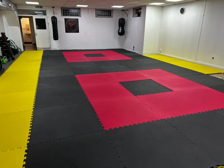 Te-Ashi-Do Martial Arts - Exeter Sports Academy — martial arts-studio in Alphington, Exeter — 2