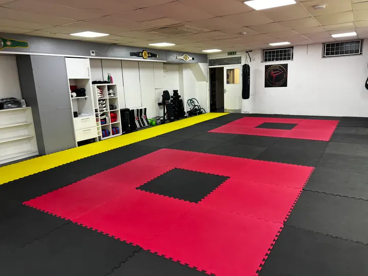 Te-Ashi-Do Martial Arts - Exeter Sports Academy — Martial Arts in Alphington, Exeter
