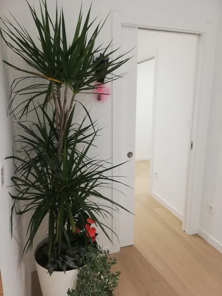 Patricia Moreira Yoga Valmiñor — yoga-studio en Gondomar — 3