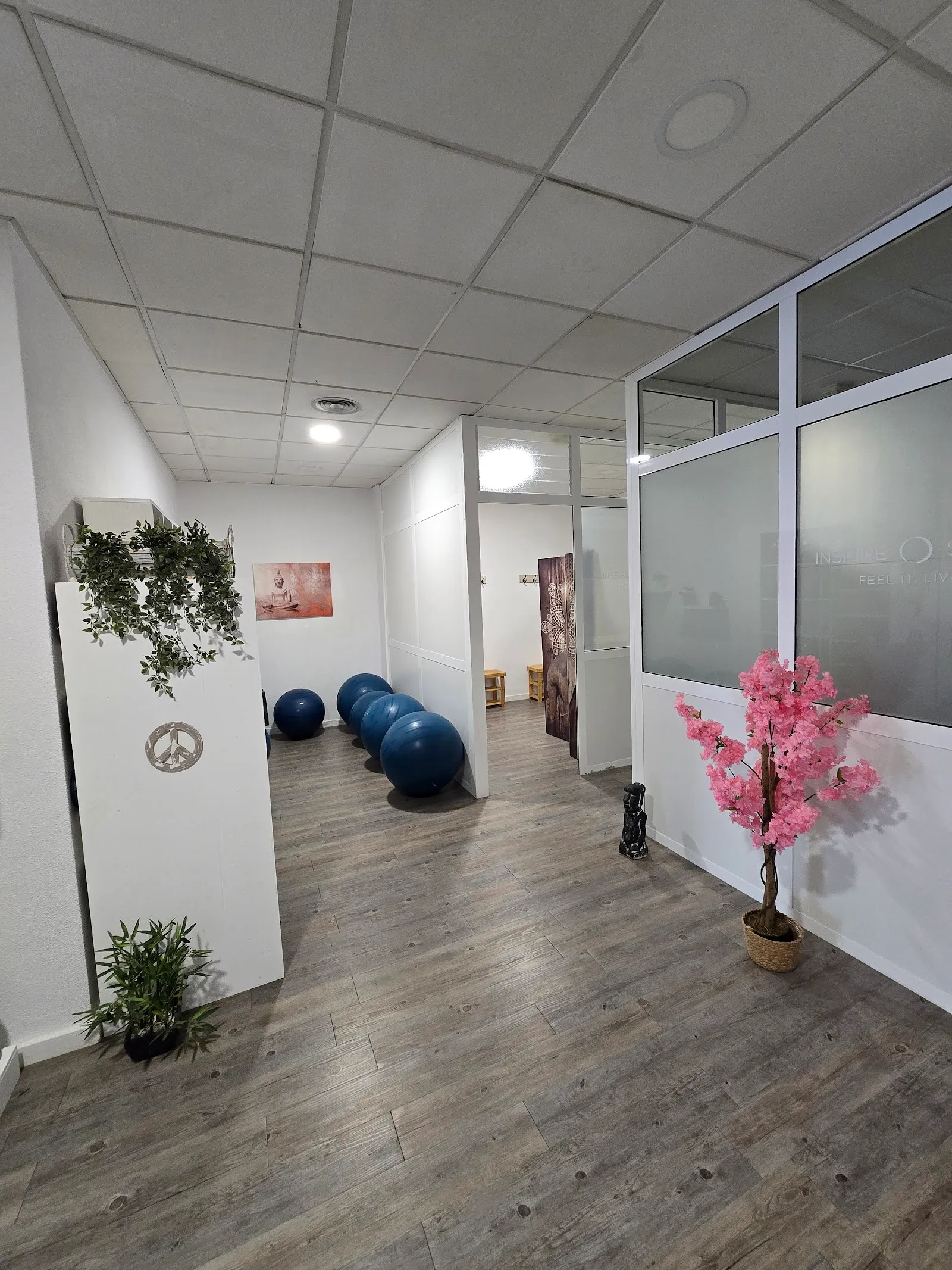 Inspire Studio — pilates-studio en Altabix, Elche — 3
